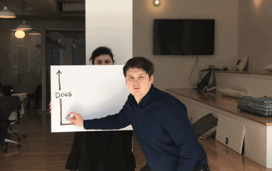 GIF video 