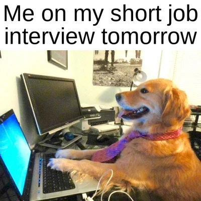 The FAANG interview hiring process
