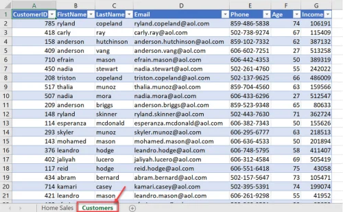 Customer details sheet