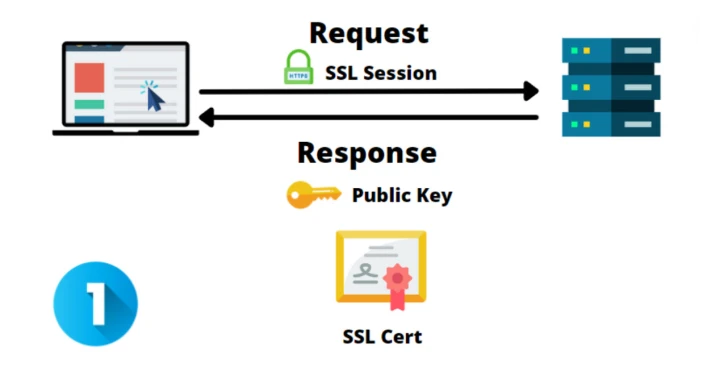 SSL session request and public key response
