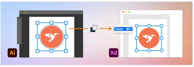 adding vectors from illustrator into xd