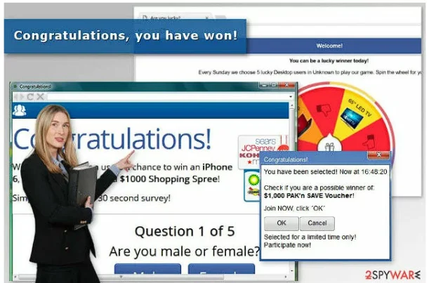 Phishing for your information