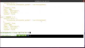 Ansible Automater