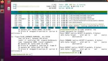 Web and DNS Server 