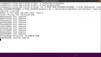  WordPress With Docker 