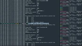 Load Balancer