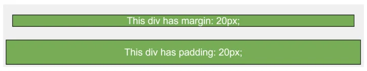 margin and padding