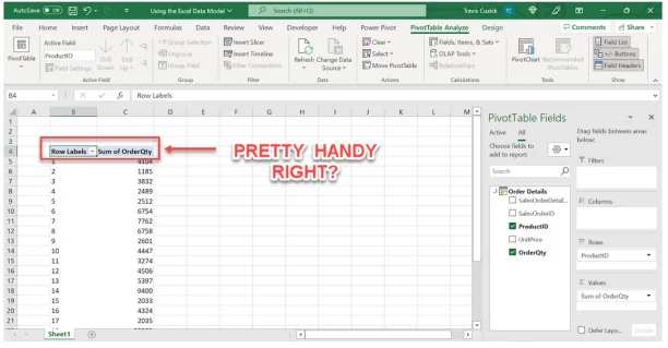PIVOT TABLE FIELDS