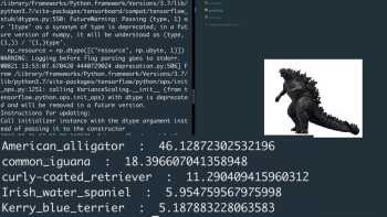 Image Recognition AI Model