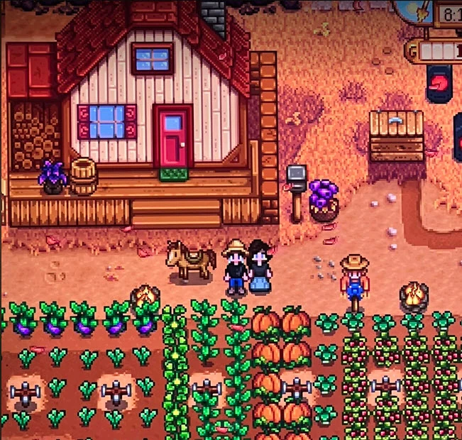 stardew valley