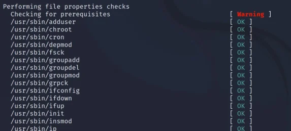 strings command checks
