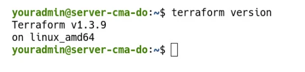 terraform version