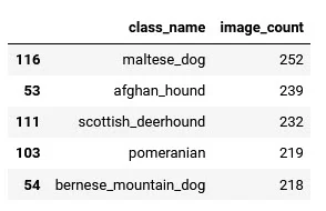 updated dataframe