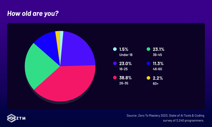 AI tools and programming survey - Distribution of survey participants based on age