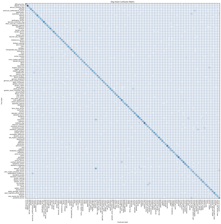 Create a confusion matrix