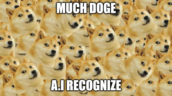 dog classification ml project
