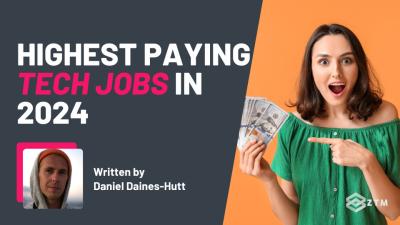 Top 10 Highest-Paying Tech Jobs in 2024 for Beginners preview