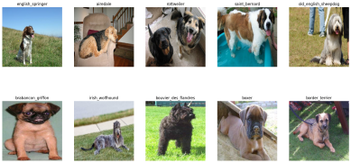 How to plot multiple images from our tensor data
