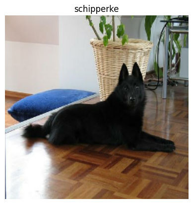 Visualizing images from our TensorFlow Dataset